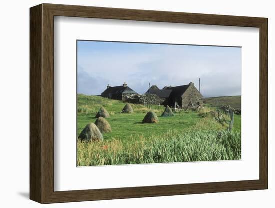 Traditional Farm In The Shetland Isles With Hay Stooks In A Field, Scotland, UK-Jouan Rius-Framed Photographic Print