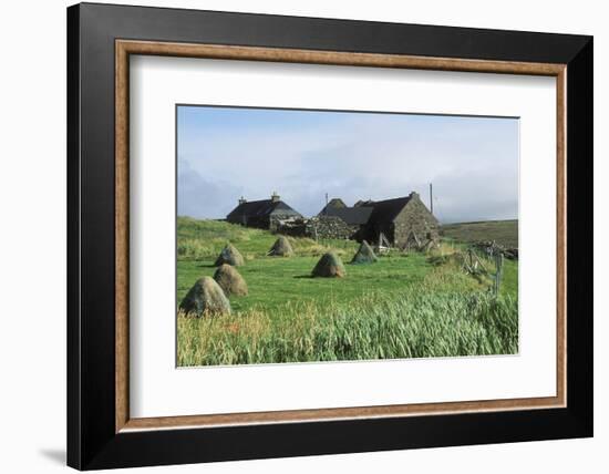 Traditional Farm In The Shetland Isles With Hay Stooks In A Field, Scotland, UK-Jouan Rius-Framed Photographic Print