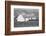 Traditional Farmhouse in County Donegal 1963-Staff-Framed Photographic Print