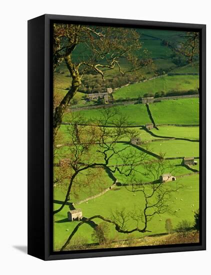 Traditional Farming Valley in Swaledale, Yorkshire Dales National Park, England-Paul Harris-Framed Premier Image Canvas