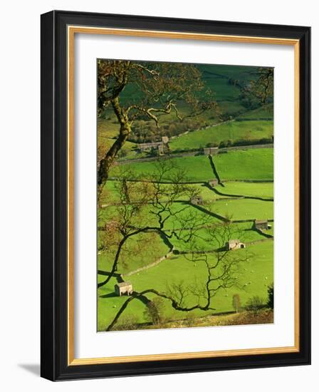 Traditional Farming Valley in Swaledale, Yorkshire Dales National Park, England-Paul Harris-Framed Photographic Print