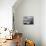 Traditional Fishing Boats and Fishermens Houses, Cefalu, Sicily, Italy, Europe-Martin Child-Photographic Print displayed on a wall