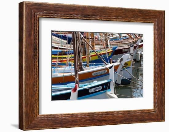 Traditional Fishing Boats Moored in the Harbour at Sanary-Sur-Mer, Provence, France, Europe-Martin Child-Framed Photographic Print