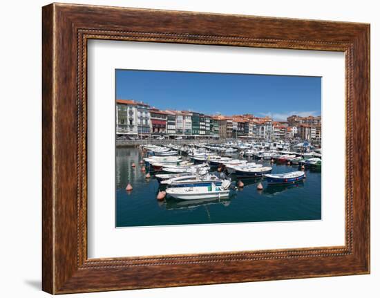 Traditional Fishing Boats Moored in the Harbour in Lekeitio, Basque Country (Euskadi), Spain-Martin Child-Framed Photographic Print