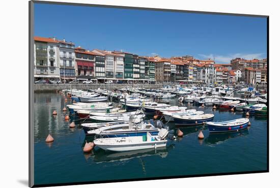 Traditional Fishing Boats Moored in the Harbour in Lekeitio, Basque Country (Euskadi), Spain-Martin Child-Mounted Photographic Print