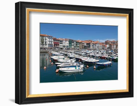 Traditional Fishing Boats Moored in the Harbour in Lekeitio, Basque Country (Euskadi), Spain-Martin Child-Framed Photographic Print