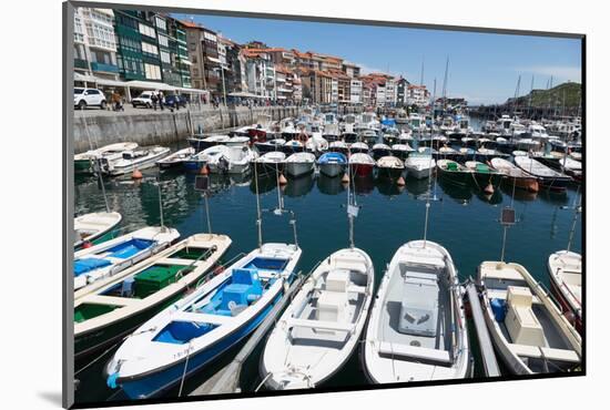 Traditional Fishing Boats Moored in the Harbour in Lekeitio, Basque Country (Euskadi), Spain-Martin Child-Mounted Photographic Print