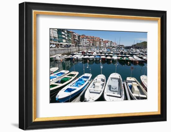 Traditional Fishing Boats Moored in the Harbour in Lekeitio, Basque Country (Euskadi), Spain-Martin Child-Framed Photographic Print