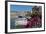 Traditional Fishing Boats Moored in the Harbour of the Historic Town of Cassis, Mediterranean-Martin Child-Framed Photographic Print