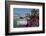 Traditional Fishing Boats Moored in the Harbour of the Historic Town of Cassis, Mediterranean-Martin Child-Framed Photographic Print