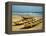 Traditional Fishing Boats on Kokrobite Beach, Greater Accra Region, Gulf of Guinea, Ghana-Alison Jones-Framed Premier Image Canvas