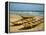 Traditional Fishing Boats on Kokrobite Beach, Greater Accra Region, Gulf of Guinea, Ghana-Alison Jones-Framed Premier Image Canvas