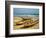 Traditional Fishing Boats on Kokrobite Beach, Greater Accra Region, Gulf of Guinea, Ghana-Alison Jones-Framed Photographic Print