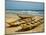 Traditional Fishing Boats on Kokrobite Beach, Greater Accra Region, Gulf of Guinea, Ghana-Alison Jones-Mounted Photographic Print