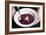 Traditional Fruit Grunt, A Slow Simmered Dessert With Dumplings Cooked In Fruit-Shea Evans-Framed Photographic Print