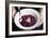 Traditional Fruit Grunt, A Slow Simmered Dessert With Dumplings Cooked In Fruit-Shea Evans-Framed Photographic Print