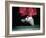 Traditional Geta (Wooden Sandals), Kyoto, Kinki, Japan,-Frank Carter-Framed Photographic Print