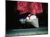 Traditional Geta (Wooden Sandals), Kyoto, Kinki, Japan,-Frank Carter-Mounted Photographic Print