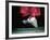 Traditional Geta (Wooden Sandals), Kyoto, Kinki, Japan,-Frank Carter-Framed Photographic Print