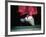 Traditional Geta (Wooden Sandals), Kyoto, Kinki, Japan,-Frank Carter-Framed Photographic Print