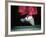 Traditional Geta (Wooden Sandals), Kyoto, Kinki, Japan,-Frank Carter-Framed Photographic Print