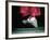 Traditional Geta (Wooden Sandals), Kyoto, Kinki, Japan,-Frank Carter-Framed Photographic Print