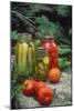 Traditional Home-Preserved Pickles and Tomatoes-null-Mounted Photographic Print