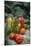 Traditional Home-Preserved Pickles and Tomatoes-null-Mounted Photographic Print