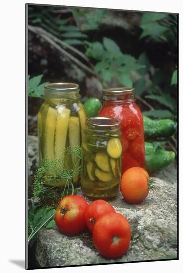 Traditional Home-Preserved Pickles and Tomatoes-null-Mounted Photographic Print