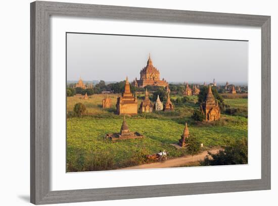 Traditional Horse and Cart Passing the Pagodas in Bagan (Pagan), Myanmar (Burma), Asia-Jordan Banks-Framed Photographic Print