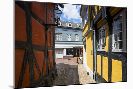 Traditional House in Kolding, Denmark-Michael Runkel-Mounted Photographic Print