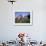 Traditional Houses at Santana, Madeira, Portugal-Hans Peter Merten-Framed Photographic Print displayed on a wall