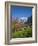 Traditional Houses, Wetterhorn and Grindelwald, Berner Oberland, Switzerland-Doug Pearson-Framed Photographic Print