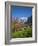 Traditional Houses, Wetterhorn and Grindelwald, Berner Oberland, Switzerland-Doug Pearson-Framed Photographic Print