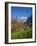 Traditional Houses, Wetterhorn and Grindelwald, Berner Oberland, Switzerland-Doug Pearson-Framed Photographic Print