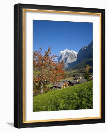 Traditional Houses, Wetterhorn and Grindelwald, Berner Oberland, Switzerland-Doug Pearson-Framed Photographic Print