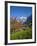 Traditional Houses, Wetterhorn and Grindelwald, Berner Oberland, Switzerland-Doug Pearson-Framed Photographic Print