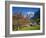 Traditional Houses, Wetterhorn and Grindelwald, Berner Oberland, Switzerland-Doug Pearson-Framed Photographic Print