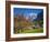 Traditional Houses, Wetterhorn and Grindelwald, Berner Oberland, Switzerland-Doug Pearson-Framed Photographic Print