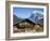 Traditional Houses, Wetterhorn and Grindelwald, Berner Oberland, Switzerland-Doug Pearson-Framed Photographic Print