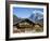 Traditional Houses, Wetterhorn and Grindelwald, Berner Oberland, Switzerland-Doug Pearson-Framed Photographic Print