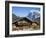 Traditional Houses, Wetterhorn and Grindelwald, Berner Oberland, Switzerland-Doug Pearson-Framed Photographic Print