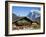 Traditional Houses, Wetterhorn and Grindelwald, Berner Oberland, Switzerland-Doug Pearson-Framed Photographic Print