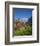 Traditional Houses, Wetterhorn and Grindelwald, Berner Oberland, Switzerland-Doug Pearson-Framed Photographic Print