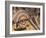 Traditional Inca Decorative Pottery, Lake Titicaca, Puno, Peru, South America-Ian Egner-Framed Photographic Print