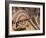 Traditional Inca Decorative Pottery, Lake Titicaca, Puno, Peru, South America-Ian Egner-Framed Photographic Print