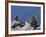 Traditional Inushuk Cairns at the Peak of Whistler Mountain, Whistler, British Columbia, Canada, No-Martin Child-Framed Photographic Print