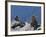 Traditional Inushuk Cairns at the Peak of Whistler Mountain, Whistler, British Columbia, Canada, No-Martin Child-Framed Photographic Print