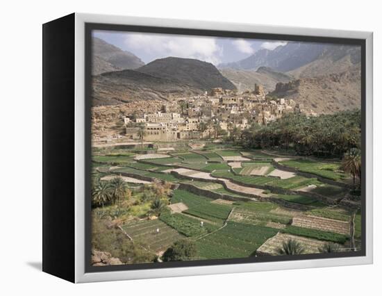 Traditional Jabali Village with Palmery in Basin in Jabal Akhdar, Bilad Sayt, Oman, Middle East-Tony Waltham-Framed Premier Image Canvas