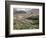 Traditional Jabali Village with Palmery in Basin in Jabal Akhdar, Bilad Sayt, Oman, Middle East-Tony Waltham-Framed Photographic Print